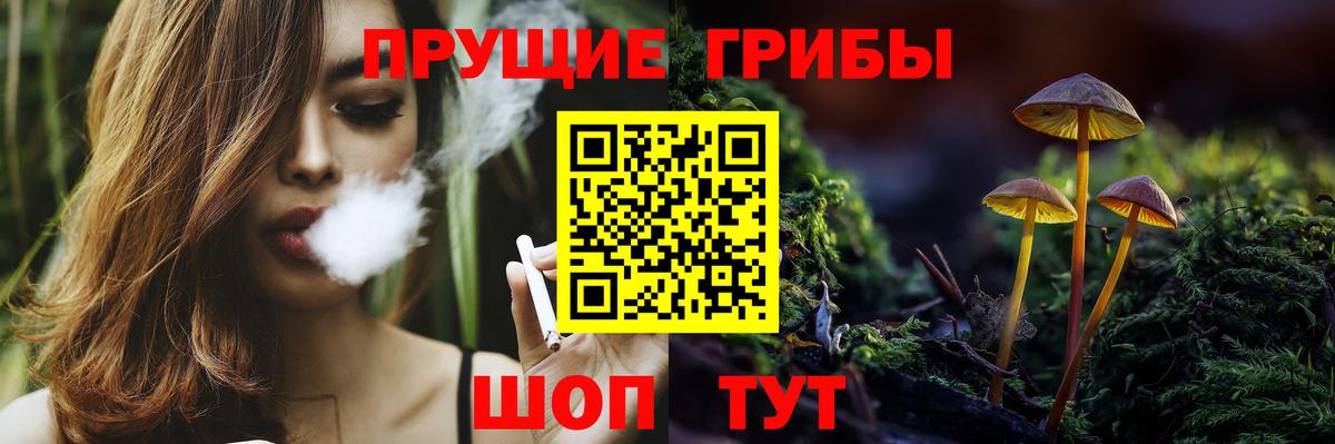 Псилоцибиновые грибы Psilocybe  Вход с VPN  Заринск 